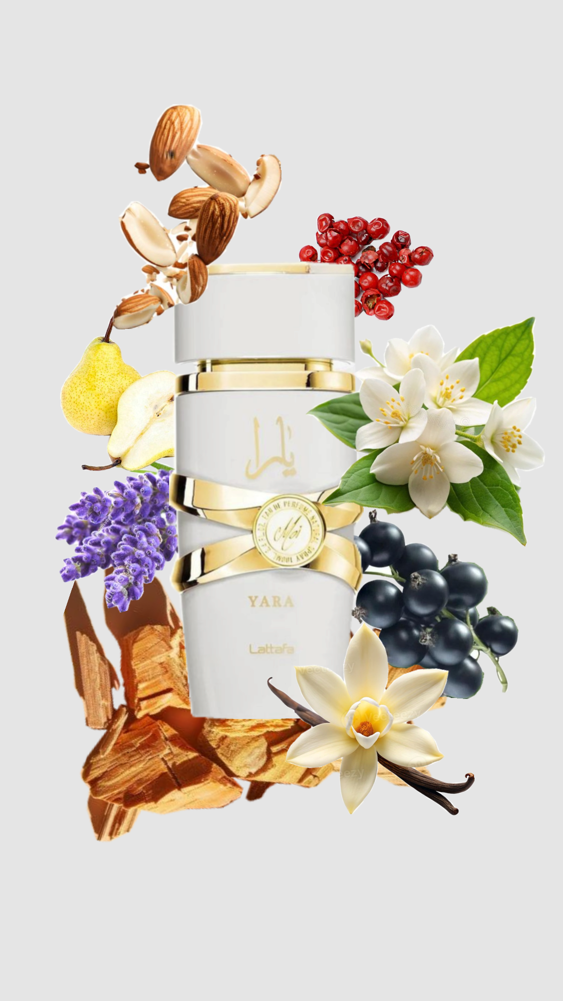 Spray Yara Moi 100ml